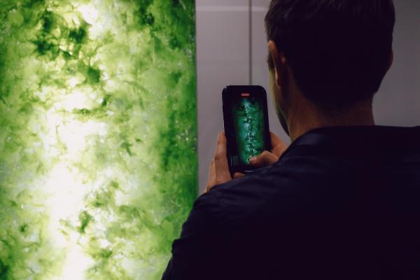 Seaweed in action. Photo credit: Yeah Rad