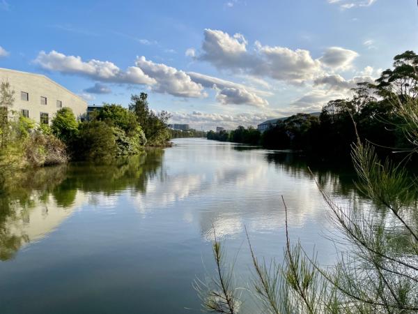 An image of urban wetlands with clouds above