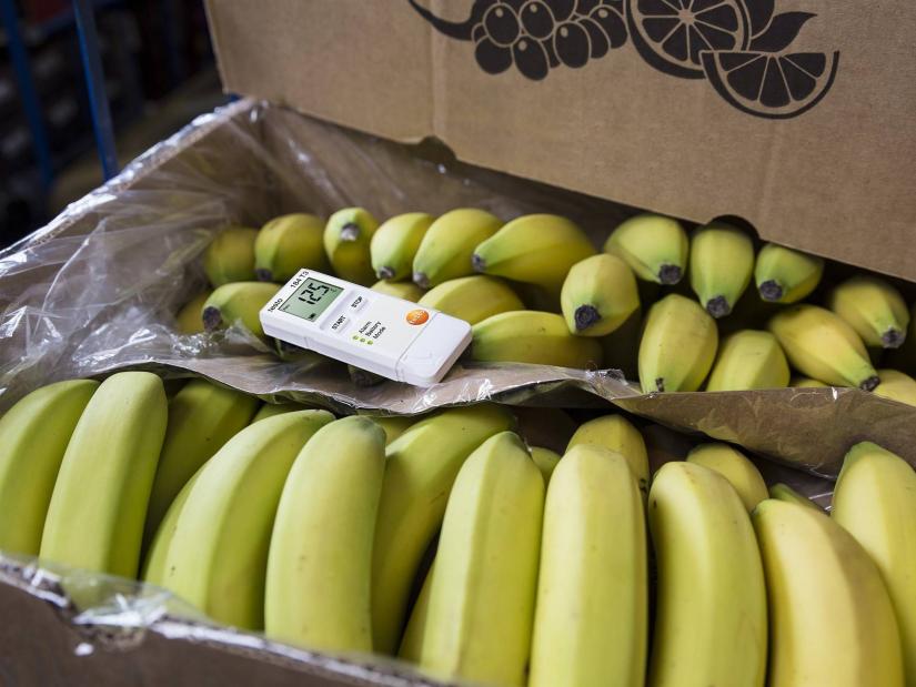 bananas with data log