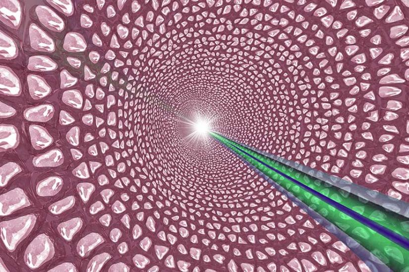 Tissue from optical imaging