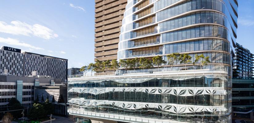 Fig trees on US Central terrace