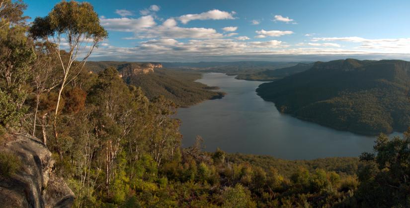 Landscape photo of Warragamba Dam and surrounding bushland.