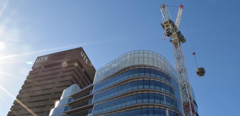 A tree is craned into place on the UTS Central rooftop