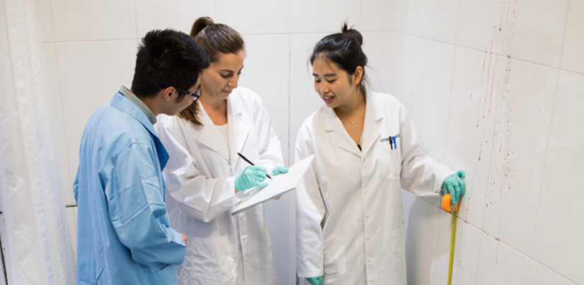 Forensic science students investigating a mock crime scene