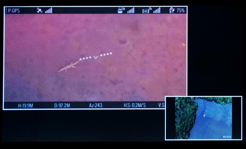 The live stream from the CrocSpotter to the World of Drones Congress in Brisbane