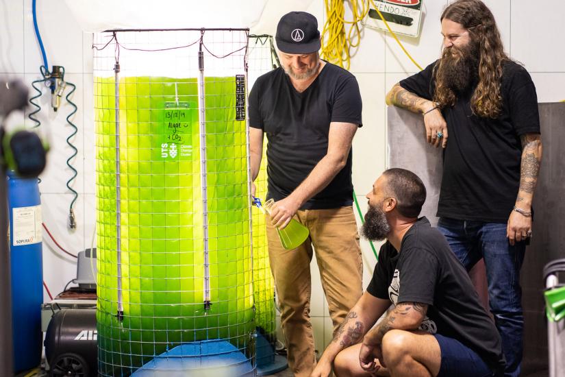 Young Henrys brew team with an algae bioreactor
