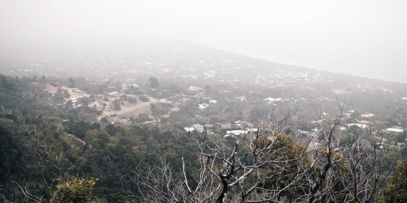 Bushfire smoke