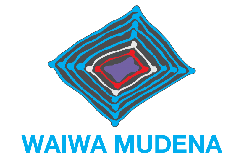 Indigenous internship