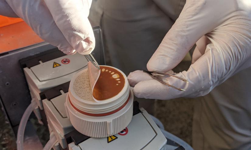 Filtering drain water for DNA extraction and analysis