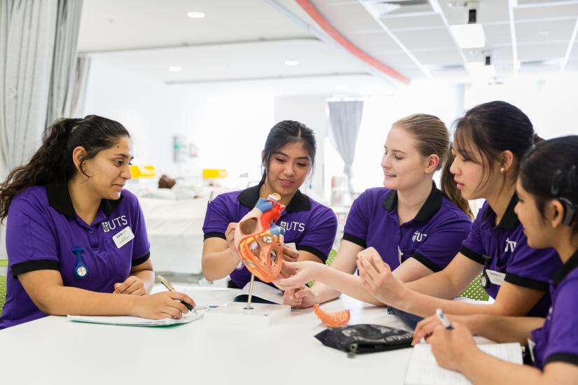 Nursing students studying a heart model.