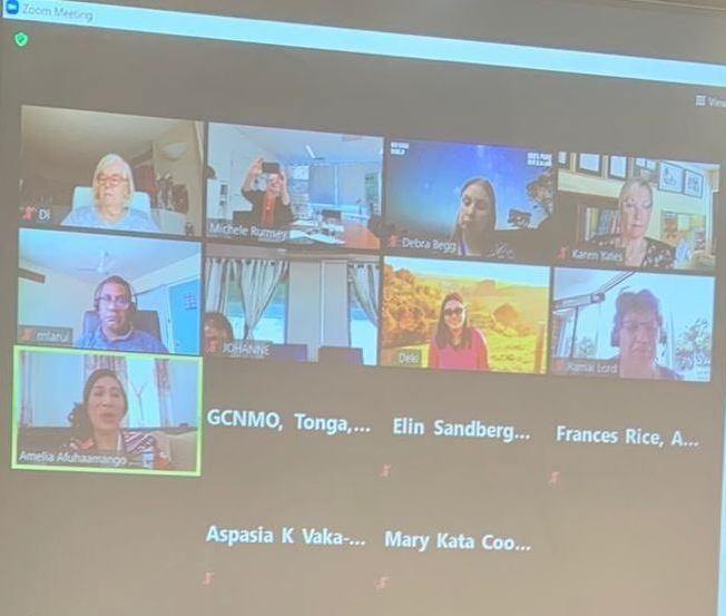 photo of a zoom meeting with many attendants