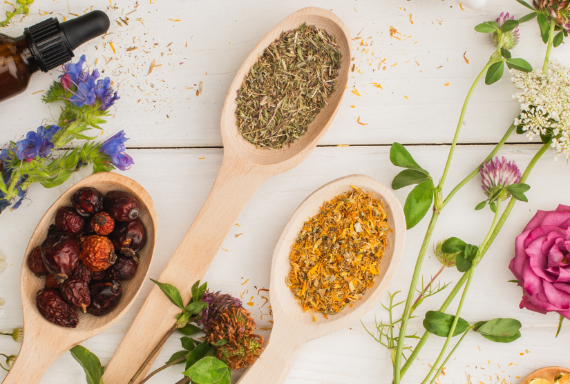 naturopathy medicine