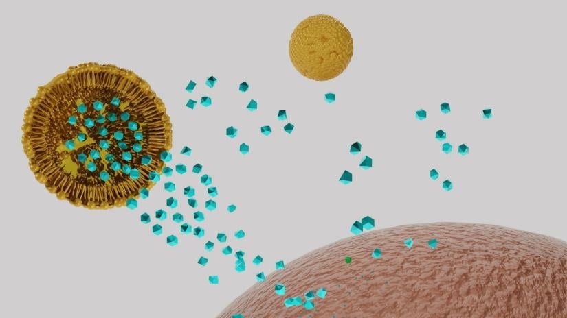 nanoparticles