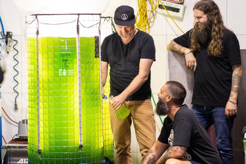 Three men looking at a large clear vat containing green algae