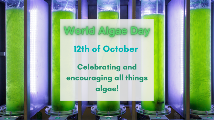 A photobioreactor with text