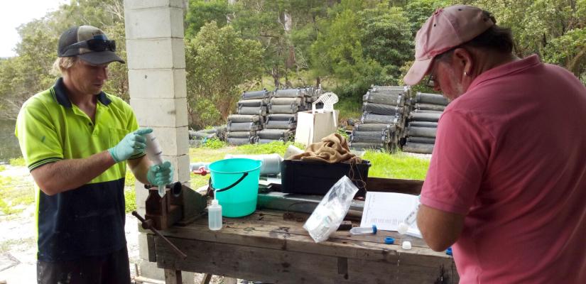 Photo of oyster farmers processing samples
