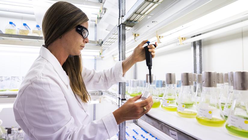 Photo of UTS researcher with algae samples
