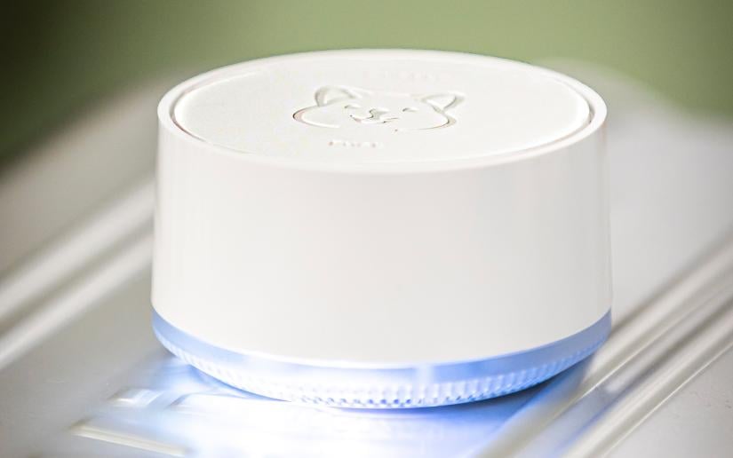 The Quokka quatum computer emulator. Picture by Andy Roberts