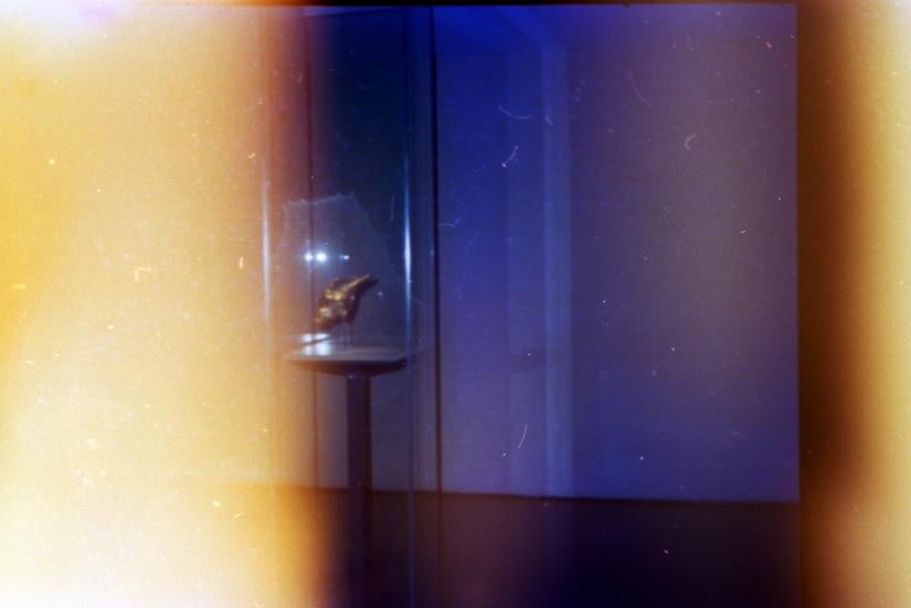 Claudia Nicholson, Conch, 2024, Archival Pigment Print, 57.14x80 cm. Courtesy the artist.