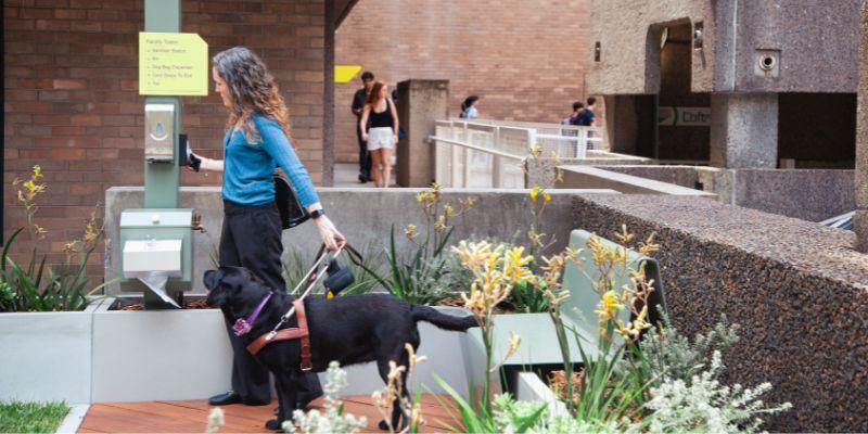 A woman in a blue cardigan and black pants is holding the harness of a black guide dog