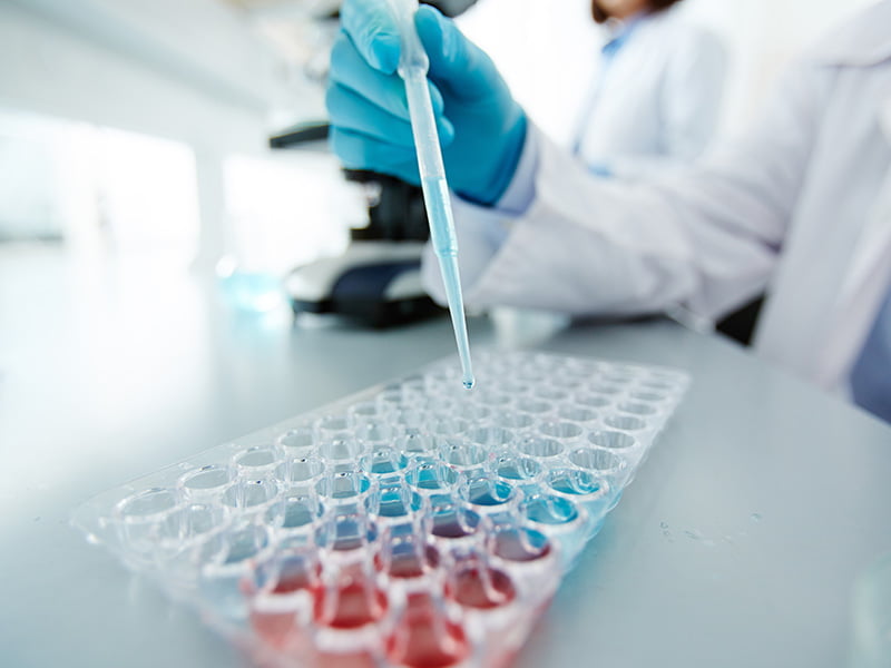 research_531456325_OP