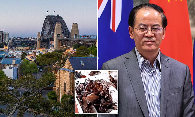 27829394-0-image-a-2_1588230857922