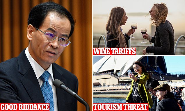 49742399-0-image-a-9_1635418897537