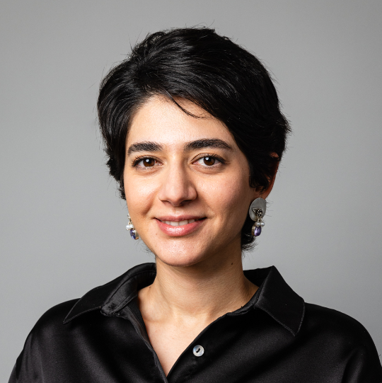 Somayeh Sadegh Koohestani