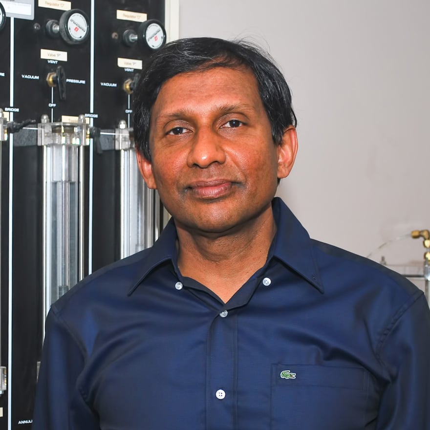 Distinguished Professor Buddhima Indraratna