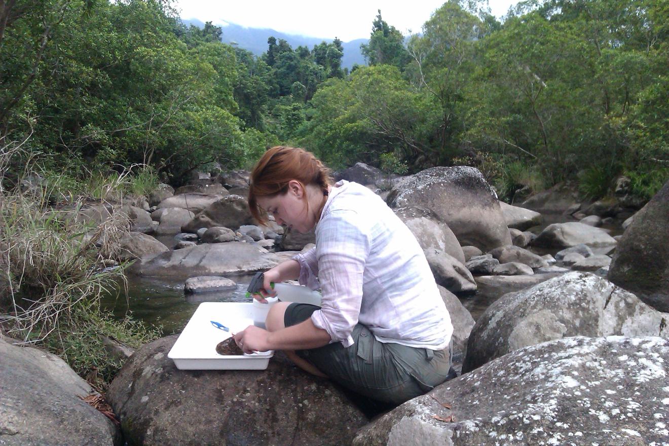 fieldwork2