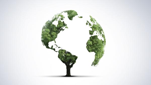 800x450 tree shaped of world map isolated on white background