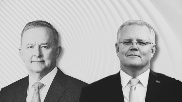 800x450%20Albanese%20and%20Morrison