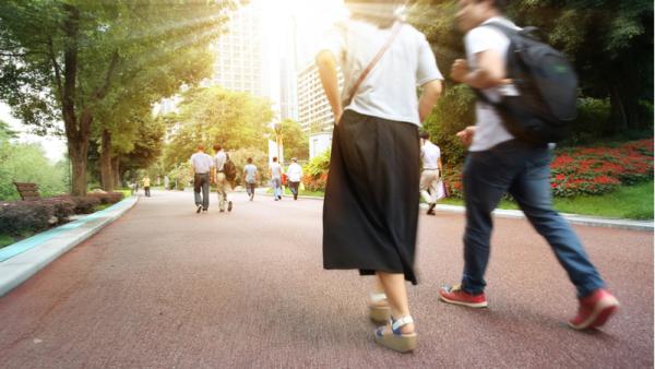 800x450%20China%20urban%20park_Shutterstock