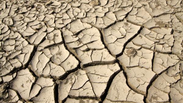 800x450%20closeup%20of%20dry%20land%2C%20north%20china