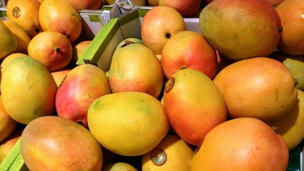 800x450%20Mangoes_on_sale_in_Australia