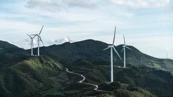 800x450%20white%20wind%20turbines%20on%20green%20grass