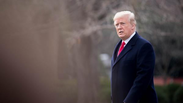 Donald%20Trump_Shutterstock_800x450