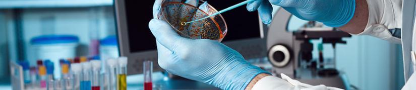 Hands on a petri dish