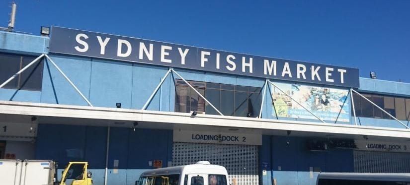 Sydney Fish Markets