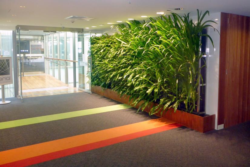 Green wall in an office setting