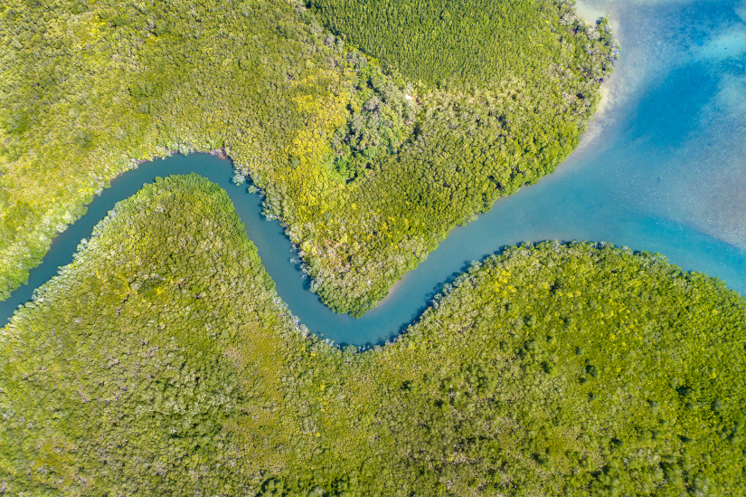 Winding river