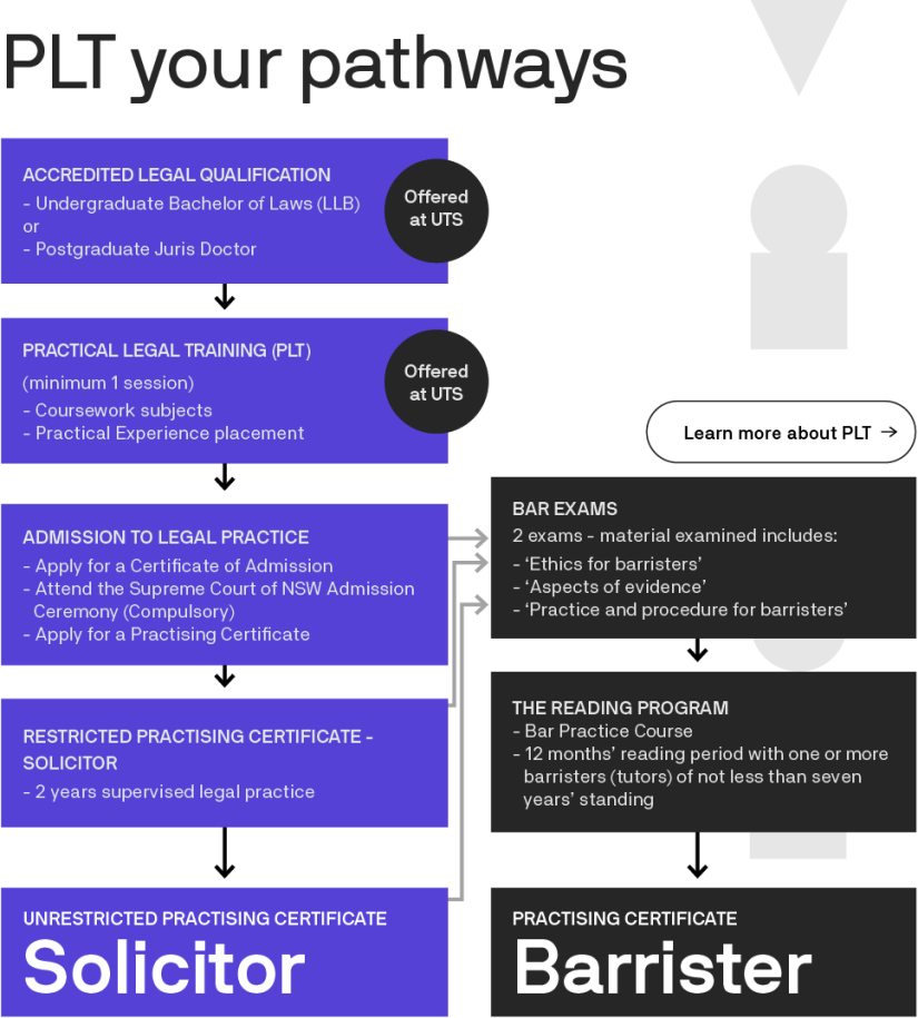 Pathways to becoming a lawyer