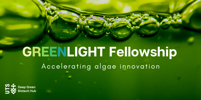 Green Light fellowship text over a bubbling green background