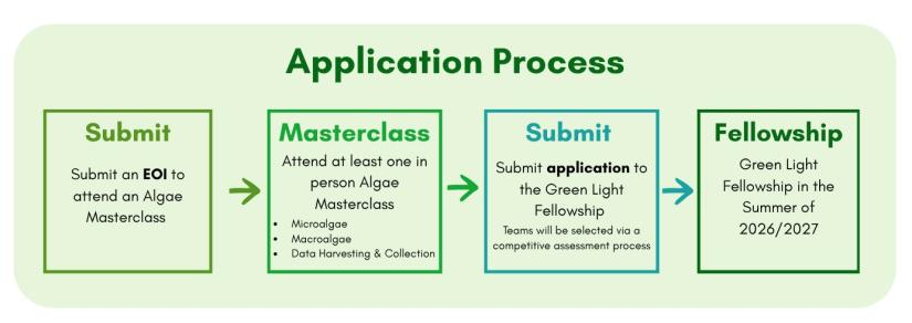 Green Light Fellowship application process 2026