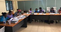 Teaching and learning activities for the Quality, Safety and Clinical Leadership component of the BN (Conversion) program.