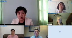 WHOCC Webinar Screenshot