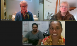 Zoom call with Nursing Policy & Standards of the Department of Health and Medical Services in Nauru