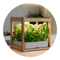 Urban Plant Growers Indoor Smart Garden Combo