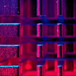 Verity’s Vicarious and Vicious Virtues