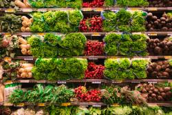 A supermarket shelf filled with green and red vegetables including lettuce, carrot and raddish